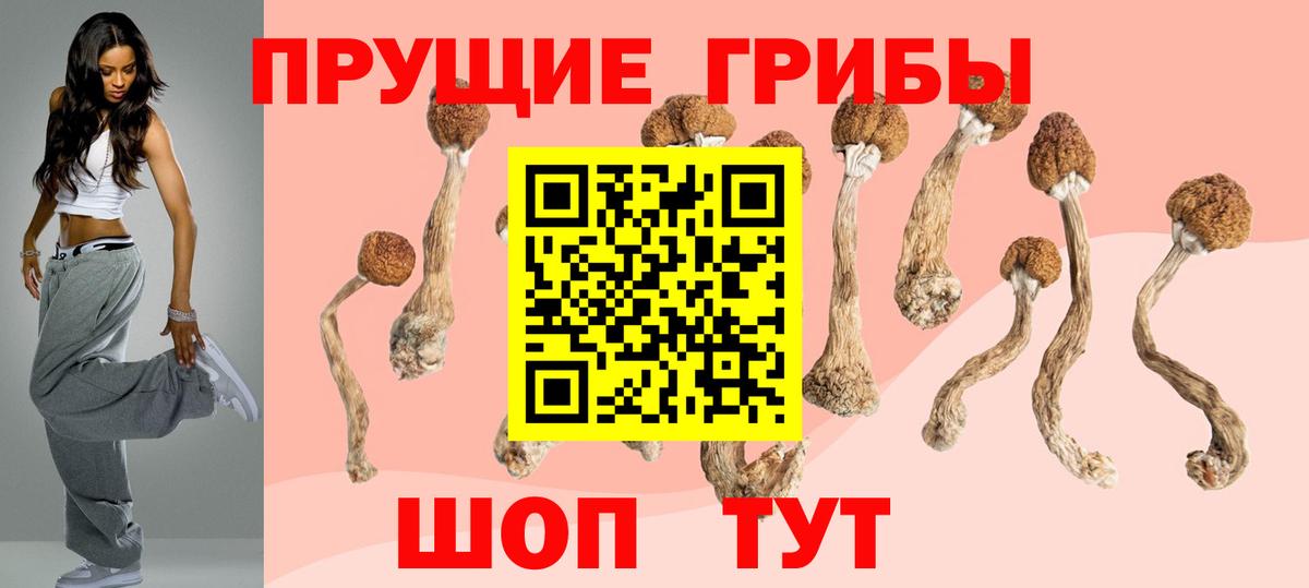Галлюциногенные грибы Magic Shrooms  цены наркотик  Камышин  Вход с VPN 